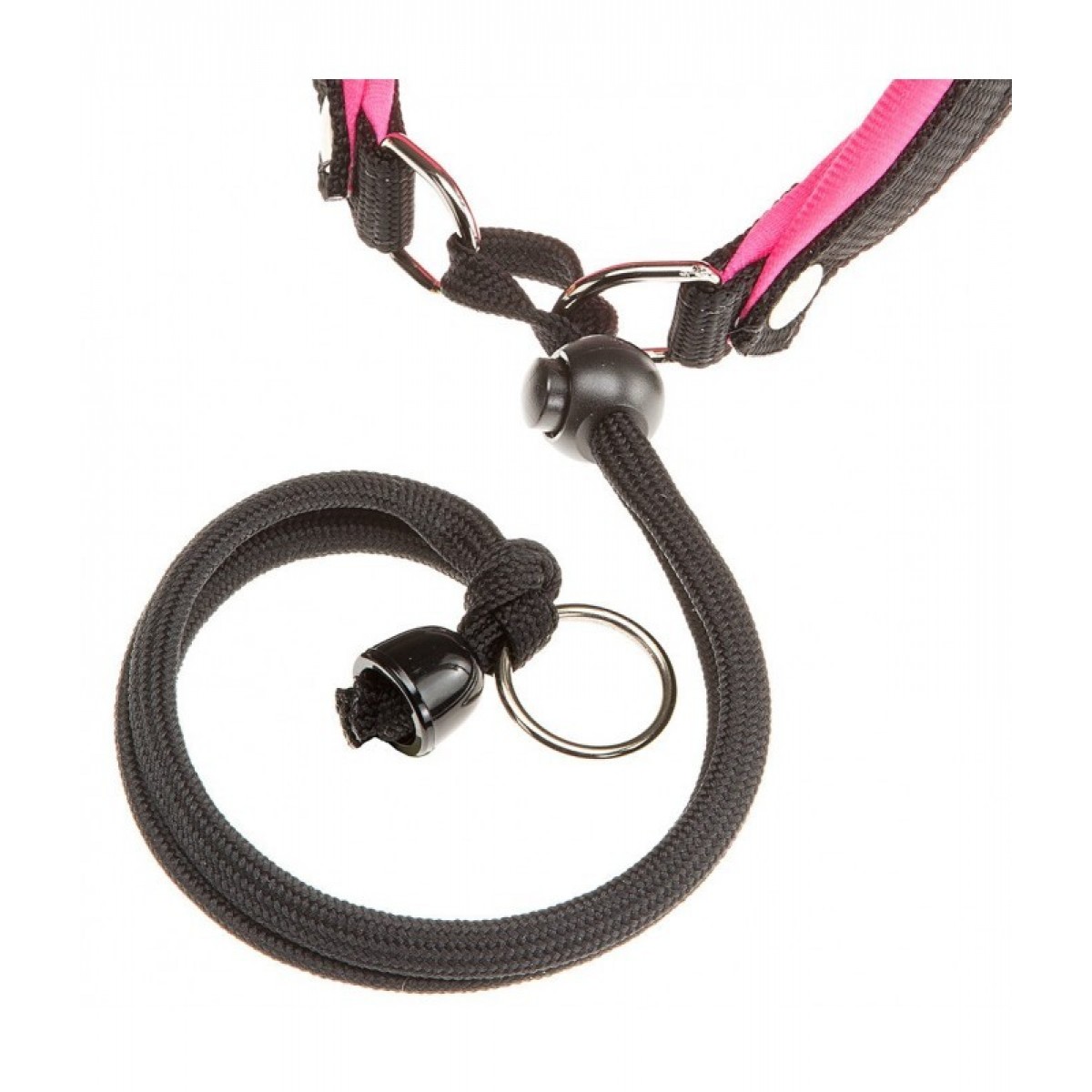 Ferplast AGILA FLUO 1 Harness (26-38cm X 15mm)- 80106901566668 | Online ...