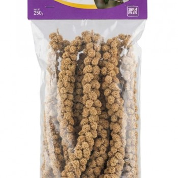 PADO Tasty Millets – Natural Millet Spray Treat for Parrots, Parakeets, Cockatiels, Lovebirds, Canaries & Finches | 250g Foxtail Millet