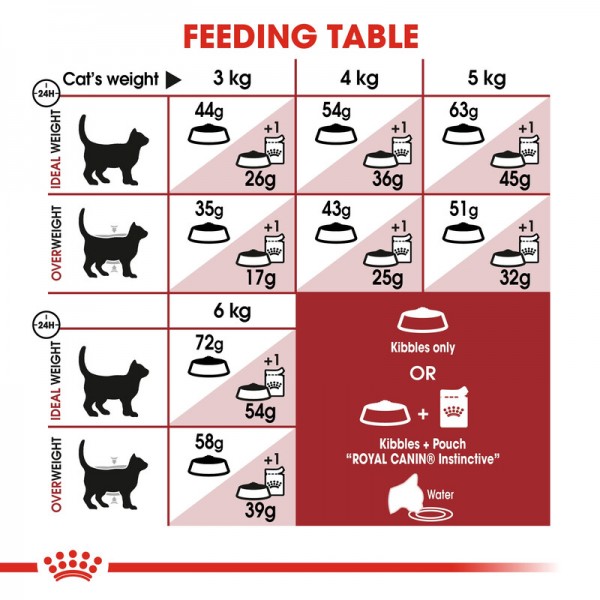 ROYAL CANIN REGULAR FIT 32 ( 4 Kg ) For Cat
