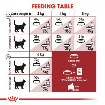 ROYALCANIN REGULAR FIT  ( 10 Kg ) For Cat
