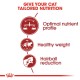 ROYALCANIN REGULAR FIT  ( 10 Kg ) For Cat