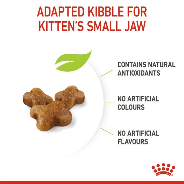 ROYAL CANIN KITTEN ( 400 G ) For Cat