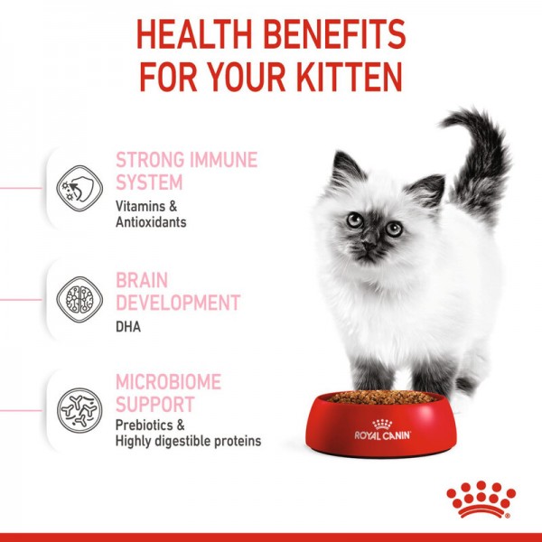 ROYAL CANIN KITTEN ( 400 G ) For Cat