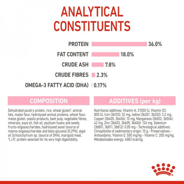 ROYAL CANIN KITTEN ( 400 G ) For Cat