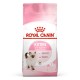ROYAL CANIN KITTEN ( 2 Kg ) For Cat