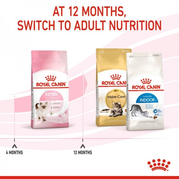ROYAL CANIN KITTEN ( 4 Kg ) For Cat