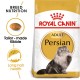 ROYAL CANIN ADULT PERSIAN ( 400 G ) For Cat