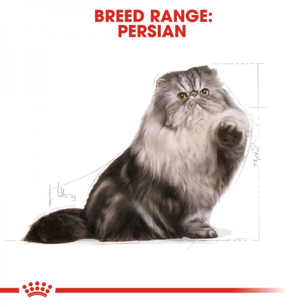 ROYAL CANIN ADULT PERSIAN ( 400 G ) For Cat