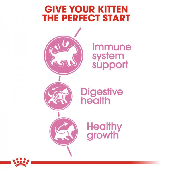 ROYAL CANIN KITTEN ( 10 Kg ) For Cat