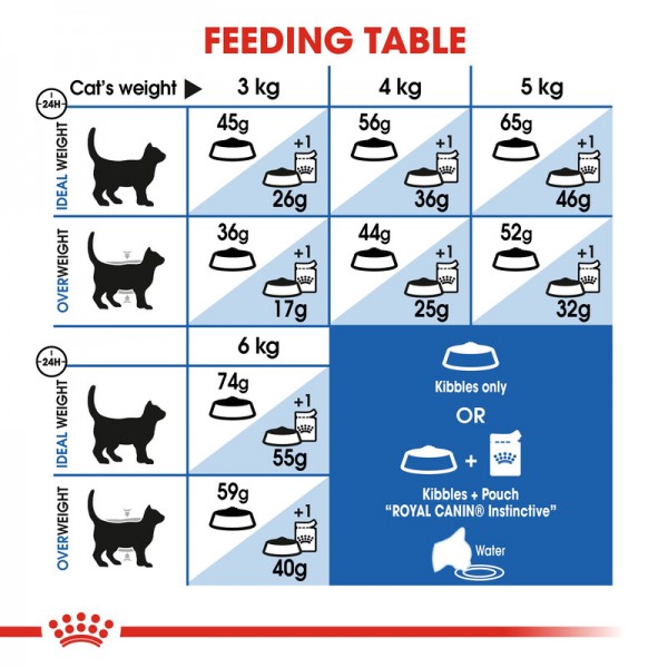 ROYAL CANIN HOME LIFE INDOOR ( 2 Kg ) For Cat ROYAL CANIN HOME LIFE INDOOR ( 2 Kg ) For Cat