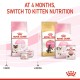 ROYAL CANIN MOTHER & BABY CAT ( 2 Kg ) For Cat