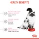 ROYAL CANIN MOTHER & BABY CAT ( 2 Kg ) For Cat