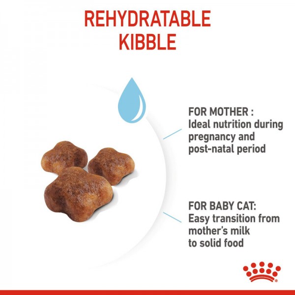 ROYAL CANIN MOTHER & BABY CAT ( 2 Kg ) For Cat