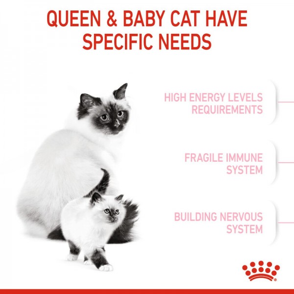 ROYAL CANIN MOTHER & BABY CAT ( 2 Kg ) For Cat