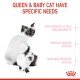 ROYAL CANIN MOTHER & BABY CAT ( 2 Kg ) For Cat