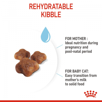 ROYAL CANIN MOTHER & BABY CAT ( 4 Kg ) For Cat