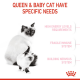ROYAL CANIN MOTHER & BABY CAT ( 4 Kg ) For Cat