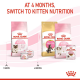 ROYAL CANIN MOTHER & BABY CAT ( 4 Kg ) For Cat