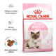 ROYAL CANIN MOTHER & BABY CAT ( 4 Kg ) For Cat