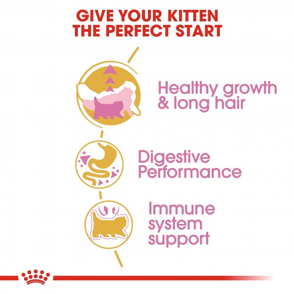 ROYAL CANIN KITTEN PERSIAN ( 400 G ) For Cat
