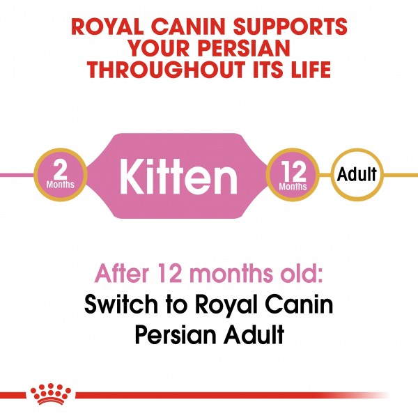 ROYAL CANIN KITTEN PERSIAN ( 400 G ) For Cat