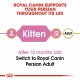 ROYAL CANIN KITTEN PERSIAN ( 400 G ) For Cat