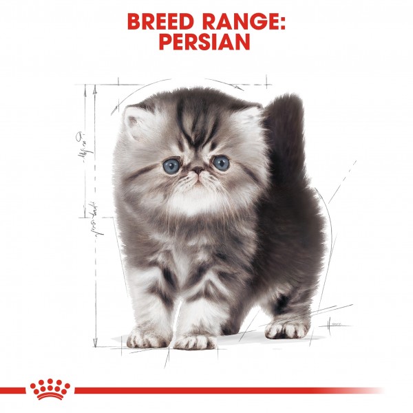 ROYAL CANIN KITTEN PERSIAN ( 400 G ) For Cat