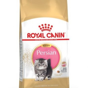 ROYAL CANIN KITTEN PERSIAN ( 400 G ) For Cat