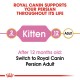 ROYAL CANIN KITTEN PERSIAN ( 2 Kg ) For Cat