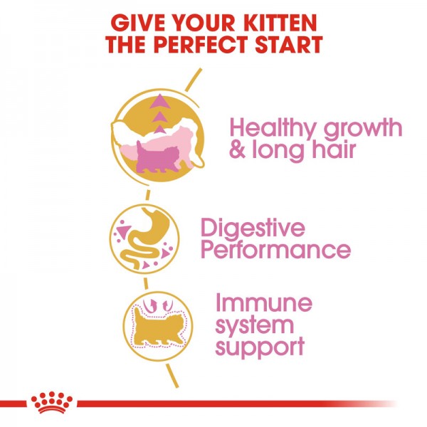ROYAL CANIN KITTEN PERSIAN ( 2 Kg ) For Cat