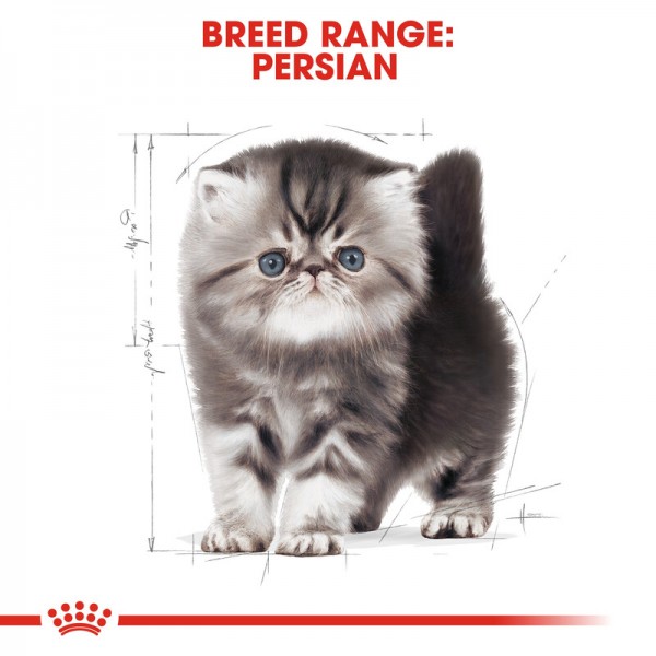ROYAL CANIN KITTEN PERSIAN ( 2 Kg ) For Cat