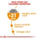 Royal Canin CARE NUTRITION HAIR & SKIN (4 KG) For Cat