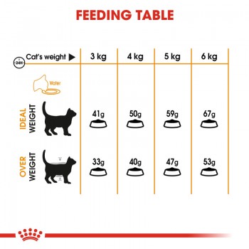 Royal Canin CARE NUTRITION HAIR & SKIN (4 KG) For Cat