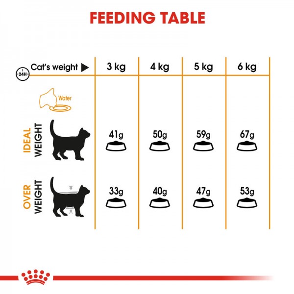 Royal Canin CARE NUTRITION HAIR & SKIN (4 KG) For Cat