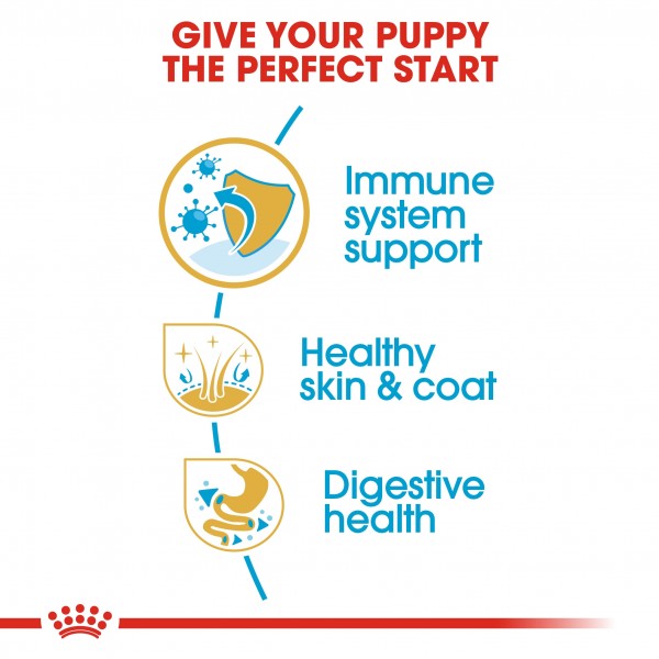 ROYAL CANIN PUPPY SHIHTZU ( 1.5 Kg ) FOR DOG