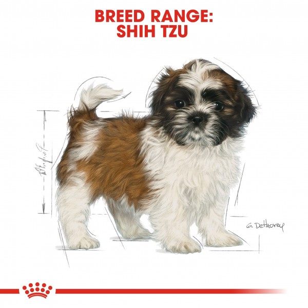ROYAL CANIN PUPPY SHIHTZU ( 1.5 Kg ) FOR DOG