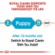 ROYAL CANIN PUPPY SHIHTZU ( 1.5 Kg ) FOR DOG