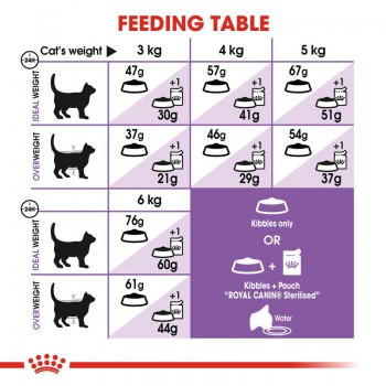 ROYAL CANIN REGULAR STERILISED 37 ( 2 KG ) For Cat