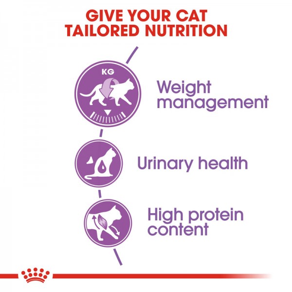 ROYAL CANIN REGULAR STERILISED 37 ( 2 KG ) For Cat