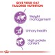 ROYAL CANIN REGULAR STERILISED 37 ( 2 KG ) For Cat