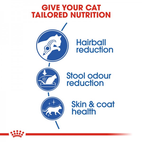 ROYAL CANIN INDOOR LONG HAIR ( 2 Kg ) For Cat