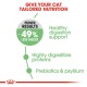 ROYAL CANIN CARE DIGESTIVE ( 2 Kg ) For Cat