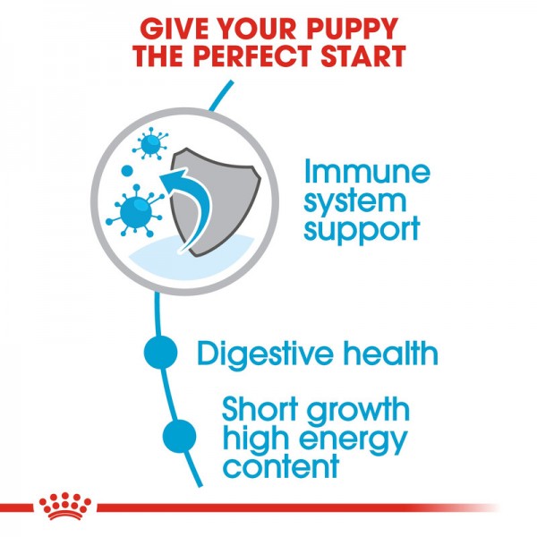 ROYAL CANIN PUPPY MEDIUM ( 10 Kg ) FOR DOG