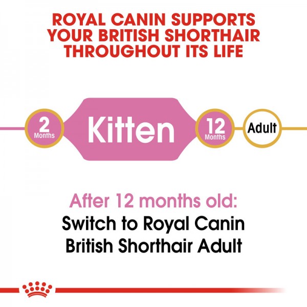 ROYAY CANIN KITTEN BRITISH SHORTHAIR ( 2kg ) For Cat