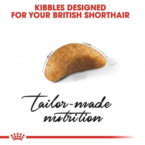 ROYAY CANIN KITTEN BRITISH SHORTHAIR ( 2kg ) For Cat