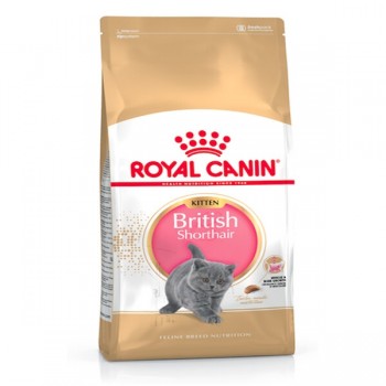 ROYAY CANIN KITTEN BRITISH SHORTHAIR ( 2kg ) For Cat