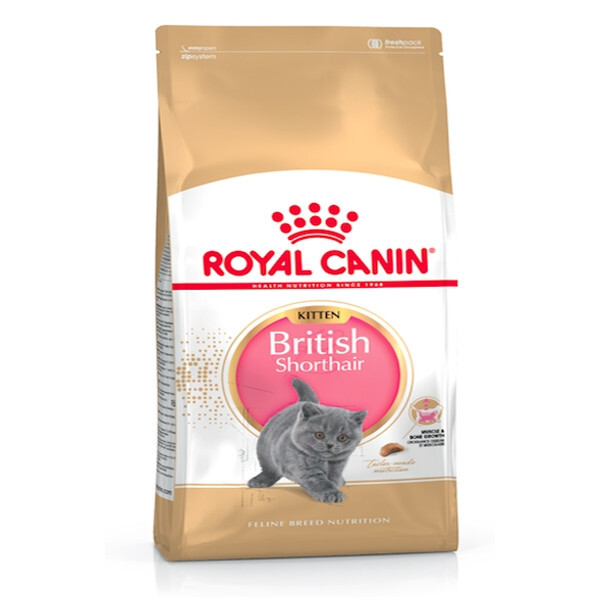 ROYAY CANIN KITTEN BRITISH SHORTHAIR ( 2kg ) For Cat