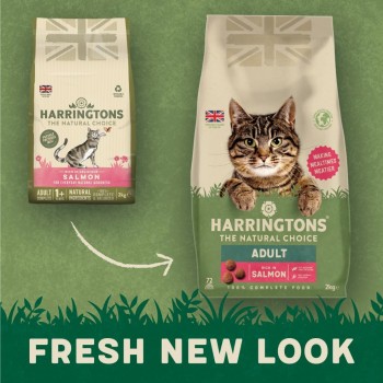 Harringtons Complete Salmon Adult Dry Cat Food 2kg – Natural UK Recipe with Salmon & Chicken, High Animal Protein, Hypoallergenic Adult Cat Food