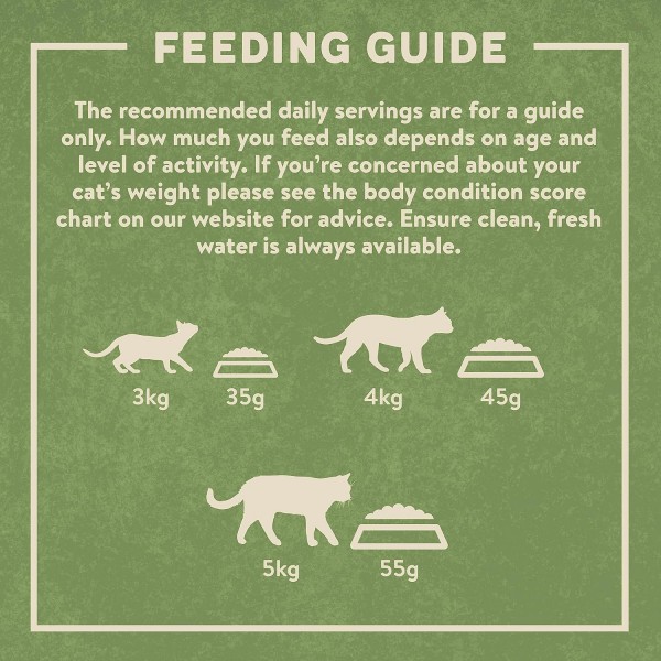 Harringtons Complete Salmon Adult Dry Cat Food 2kg – Natural UK Recipe with Salmon & Chicken, High Animal Protein, Hypoallergenic Adult Cat Food