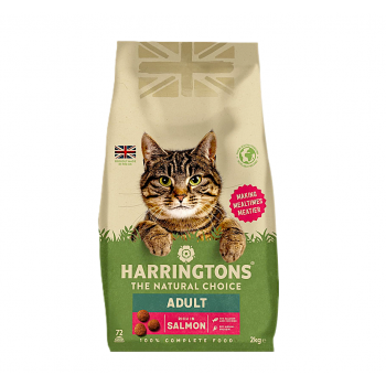 Harringtons Complete Salmon Adult Dry Cat Food 2kg – Natural UK Recipe with Salmon & Chicken, High Animal Protein, Hypoallergenic Adult Cat Food
